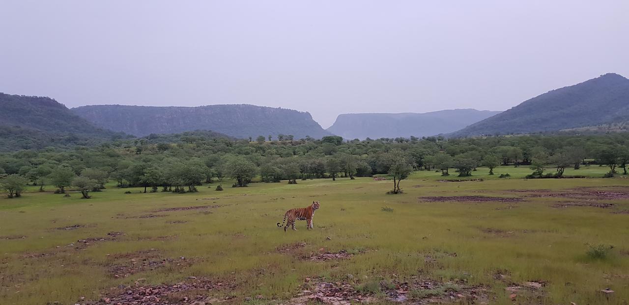 Travel Soul Bed & Breakfast Sawai Madhopur Esterno foto